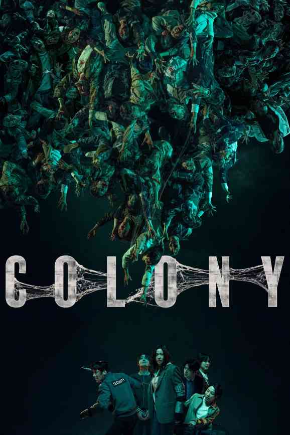 Colony