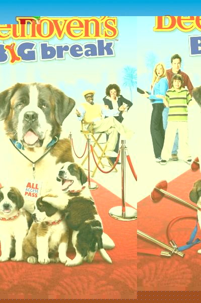 Beethoven's Big Break