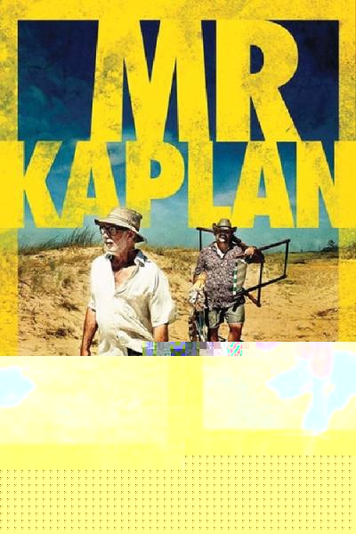 Mr. Kaplan