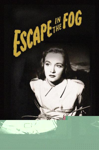 Escape in the Fog