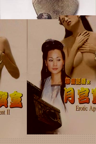 Erotic Agent II