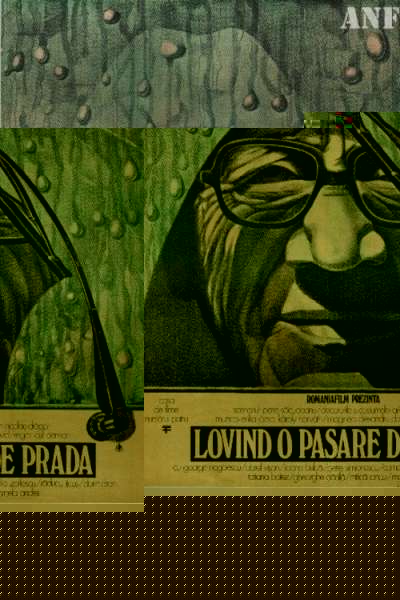 Lovind o pasare de prada